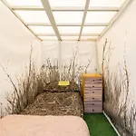 Campsite Garden Tallinn