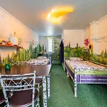 Garden Kamp alanı