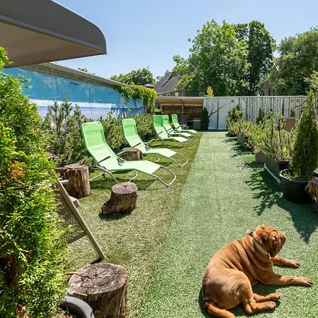 Garden *