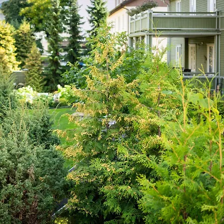 Kemp Garden