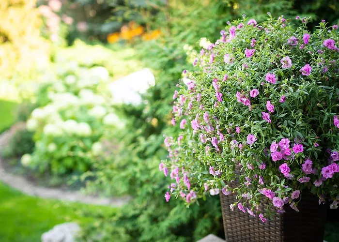 Garden Laagriplats Tallinn