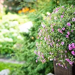 Garden Camping Tallin