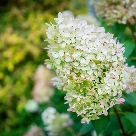 Camping Garden Tallinn